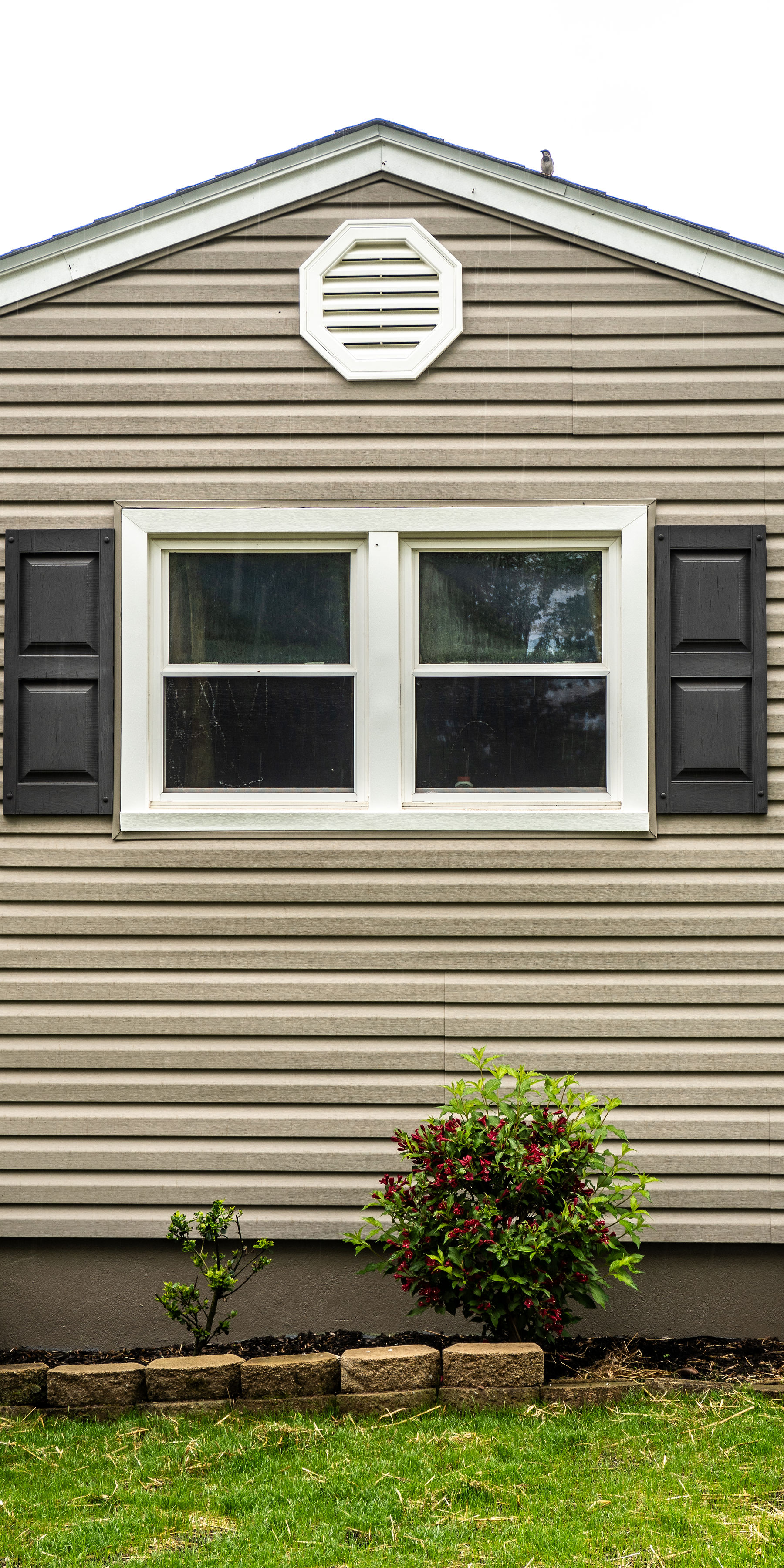 Window project on a home in Covington, KY
